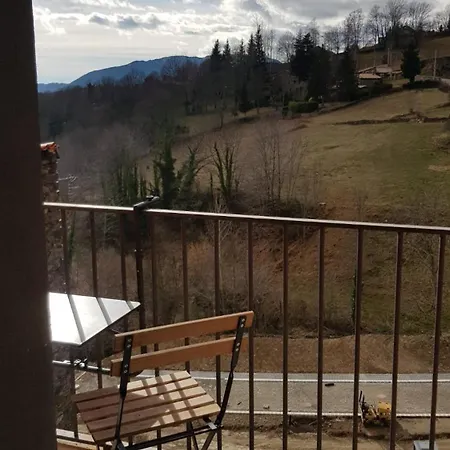 Freixe De Parc Molló
